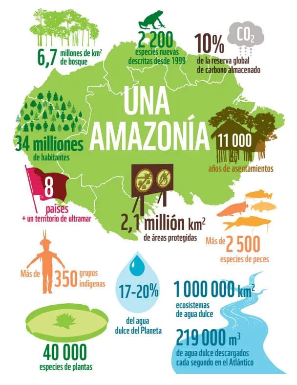 Biodiversidad en la Amazonía